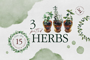 3 herbs in flowerpots watercolour, an Illustration by vivo e verde (Thumbnail 1 of 11)