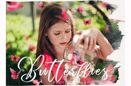 Butterfly PNG photoshop overlays