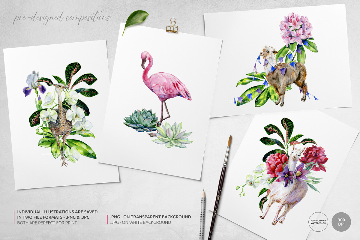 Funny Animals, an Animal Illustration by Anna Myslivets Art (Photo 7 of 10)