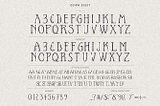 Le Petite Muse Vintage Ligature Font, a Serif Font by AndrewPixelType (Thumbnail 11 of 11)