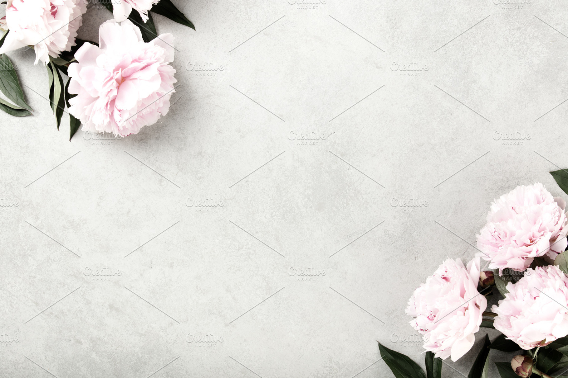 Pink Peony Flowers on Light Gray Stone Background, a Beauty & Fashion Photo by Natalia Klenova's Shop