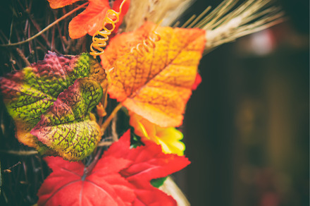 Artificial autumn leaves, a Nature Photo by Nature and travel