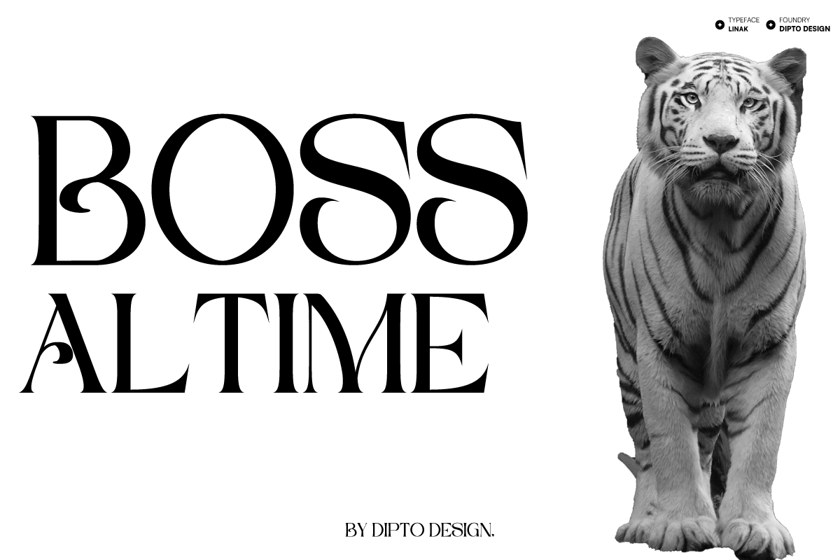 Linak, a Sans Serif Font by Dipto design (Photo 4 of 7)