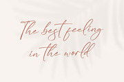 Kaldista Project Modern Signature, a Script Font by Letterena Studios Script (Thumbnail 5 of 15)