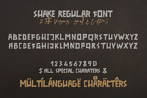 SHAKE Brush & SVG Font