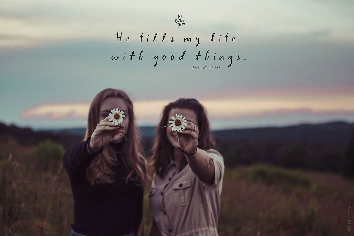Script Font and Logos - Sage and Pink preview 5
