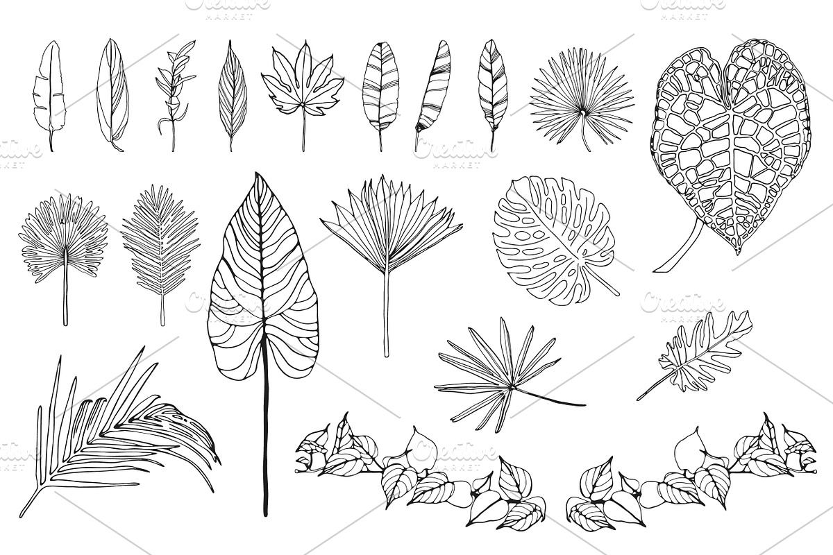 Palm Leaves svg, Botanical png, a Decorative Illustration by Watercolor_Vector Graphic (Photo 2 of 25)