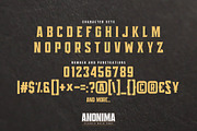 ANONIMA - Classic Bold Font, a Sans Serif Font by Gassstype (Thumbnail 8 of 10)