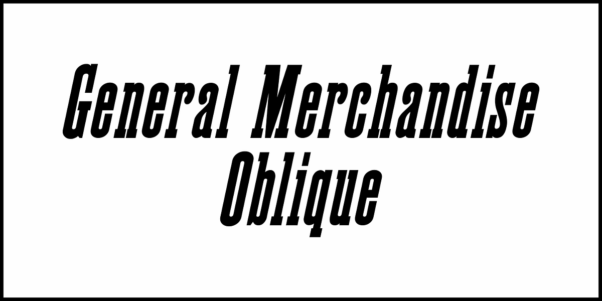 General Merchandise JNL, a Slab Serif Font by Jeff Levine Fonts (Photo 4 of 5)