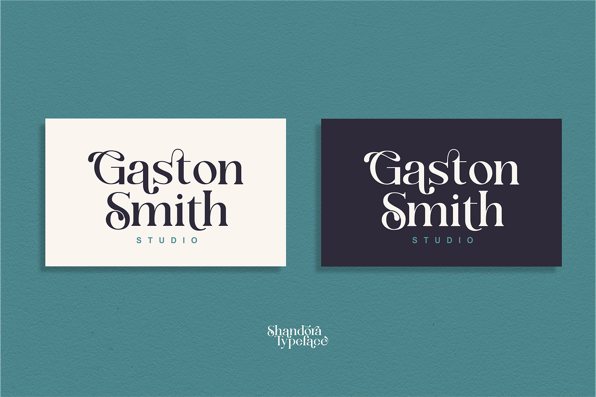 Shandora a Modern Serif Font, a Serif Font by Vilogsign (Photo 10 of 15)