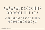 Peskia - Variable Font Family, a Serif Font by Valentino Vergan (Thumbnail 14 of 15)