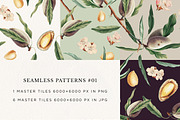 Vintage Almond Patterns & Elements, a Pattern Graphic by Olga Begak Art & Design (Thumbnail 3 of 8)