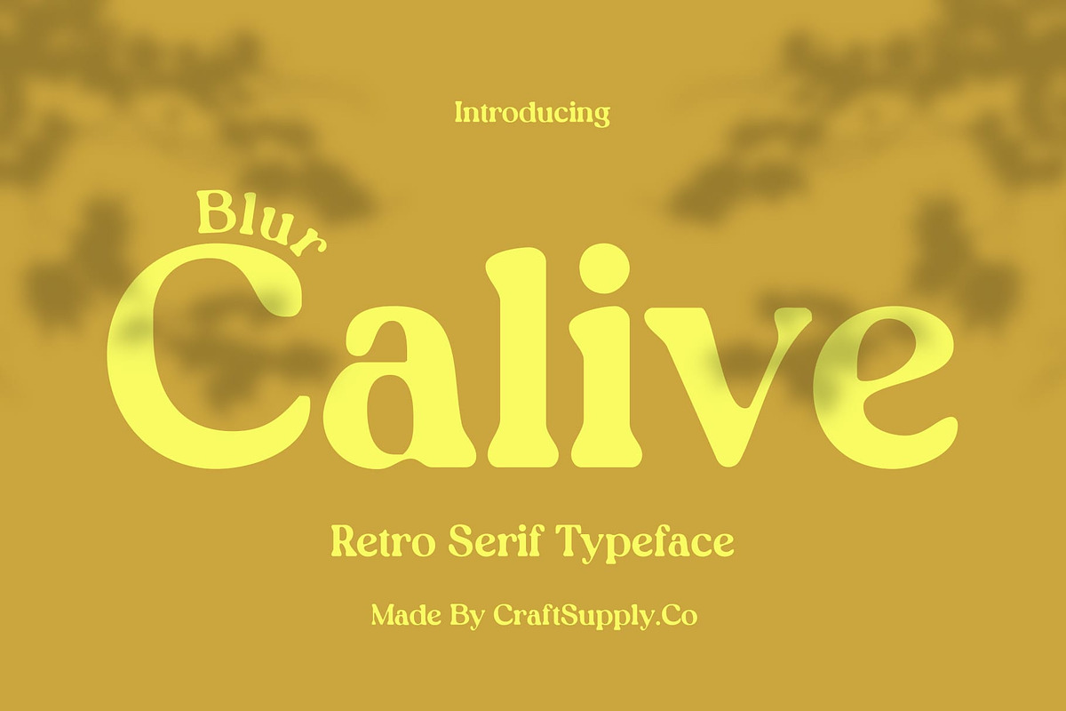 Calive Blur, a Serif Font by Craft Supply Co. (Photo 1 of 8)