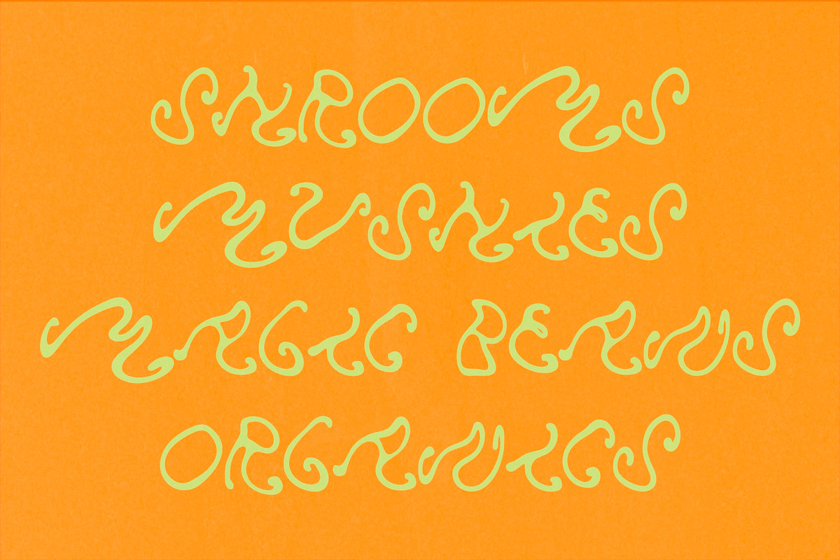 Mushroom Hand Drawn Psychedelic Font, a Handwritten Font by Madeline ODonoghue Design (Photo 3 of 7)