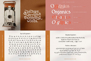 The Ultimate Font Bundle