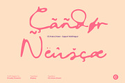 CS Ariana Drawn, a Script Font by Craft Supply Co. (Thumbnail 7 of 8)