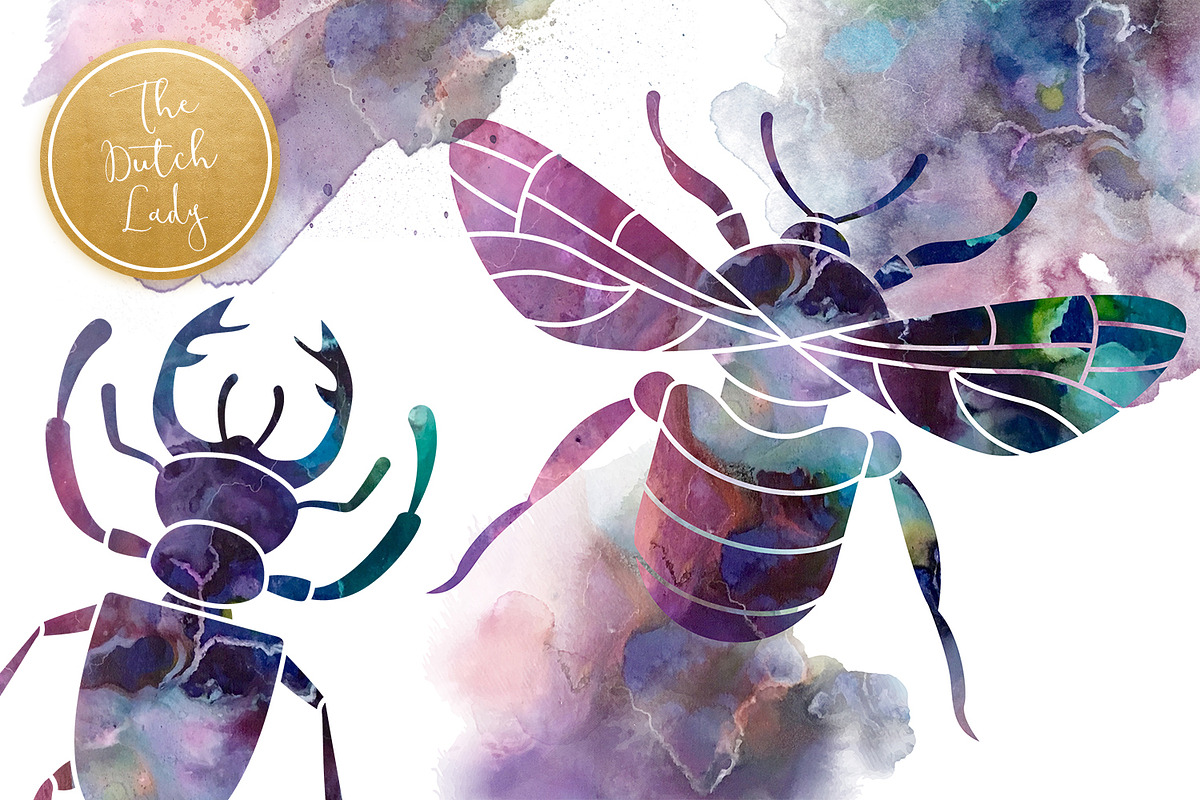 Beetles & Bugs Clipart Set, an Animal Illustration by The Dutch Lady Designs (Photo 5 of 6)
