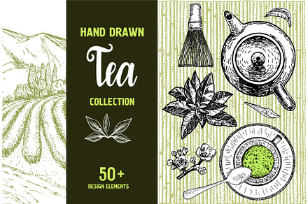 Tea Sketch Collection