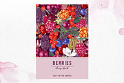 Fresh berries, a Food Illustration by handsketched (Thumbnail 20 of 21)
