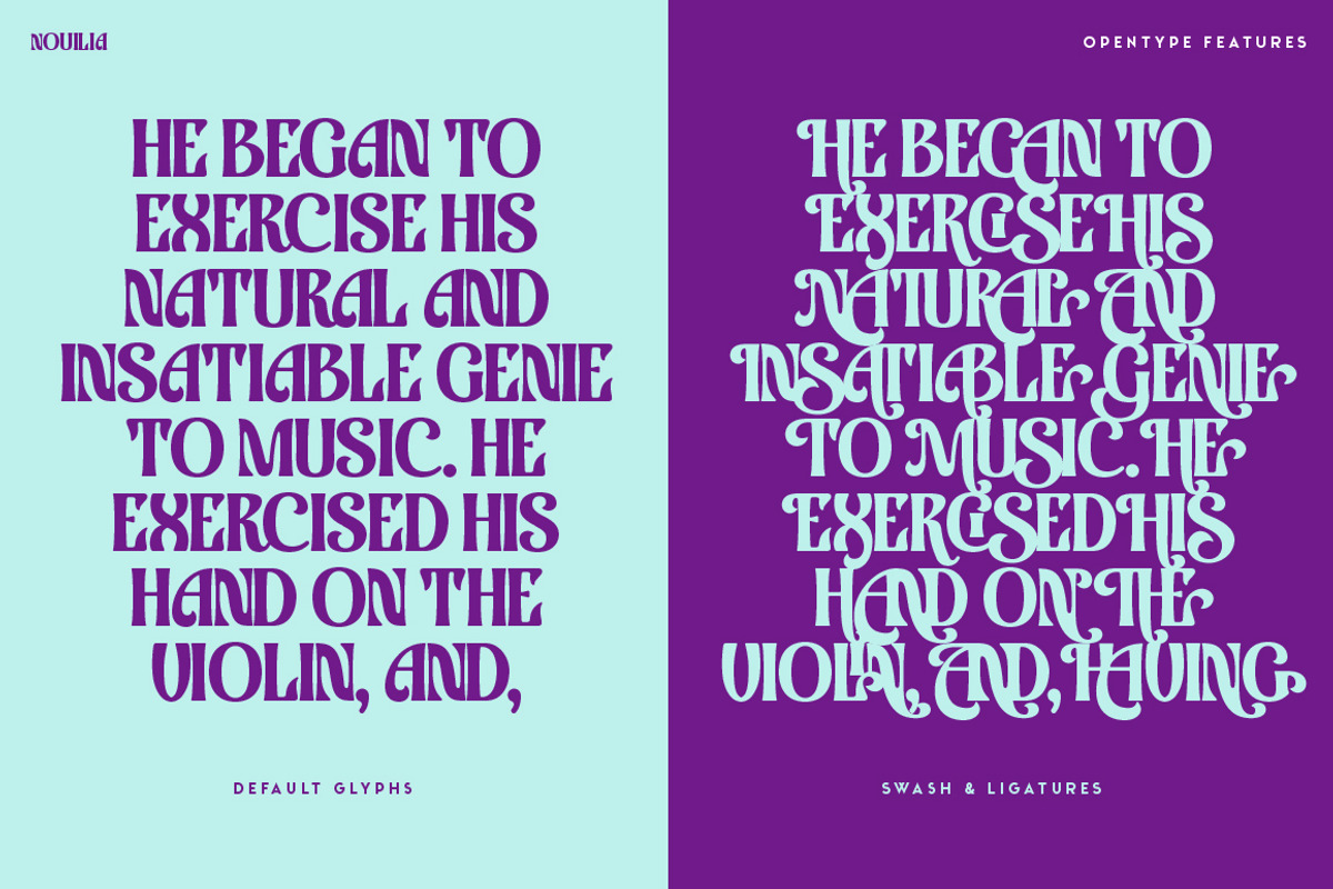 Nouilia, a Sans Serif Font by Typogama (Photo 11 of 16)