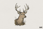 Deer PNG, Majestic Buck Clipart for, an Illustration by SharpMarketplace (Thumbnail 1 of 4)