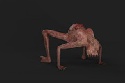 Mother of Monsters, a Characters & Person 3D Model by NojskaAksjon (Thumbnail 8 of 31)