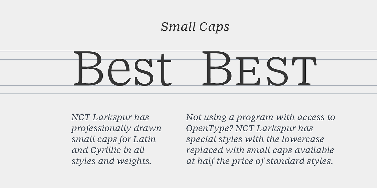 NCT Larkspur, a Serif Font by NCT (Photo 9 of 9)