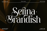 Sefina Brandish - Beauty Luxury Font, a Serif Font by Font Liner (Thumbnail 1 of 10)
