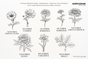 Birth Flower Procreate Brush Stamps