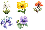 Botanical Forest Wildflower PNG, an Illustration by Watercolor design (Thumbnail 4 of 4)
