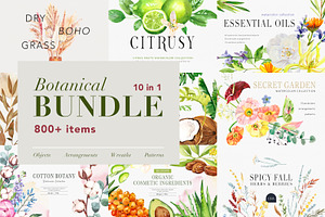 Botanical BUNDLE 10 in 1