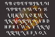 Mangifera Serif Eegant, a Serif Font by Cut Story (Thumbnail 8 of 12)