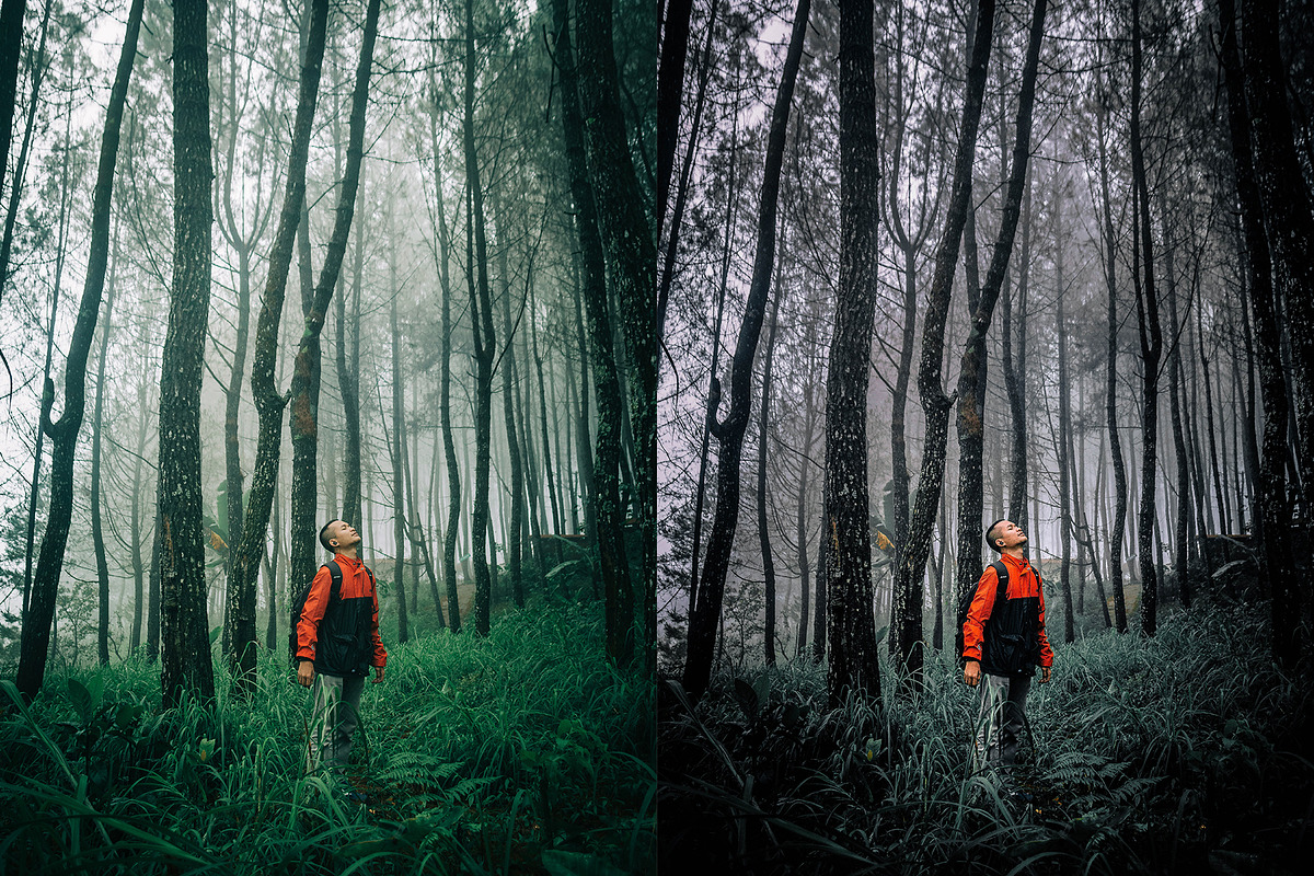 Crisp Adobe Lightroom Preset, a Preset Add-On by Voleshads (Photo 2 of 12)
