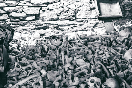 Human bones containing skull, skulls, and white