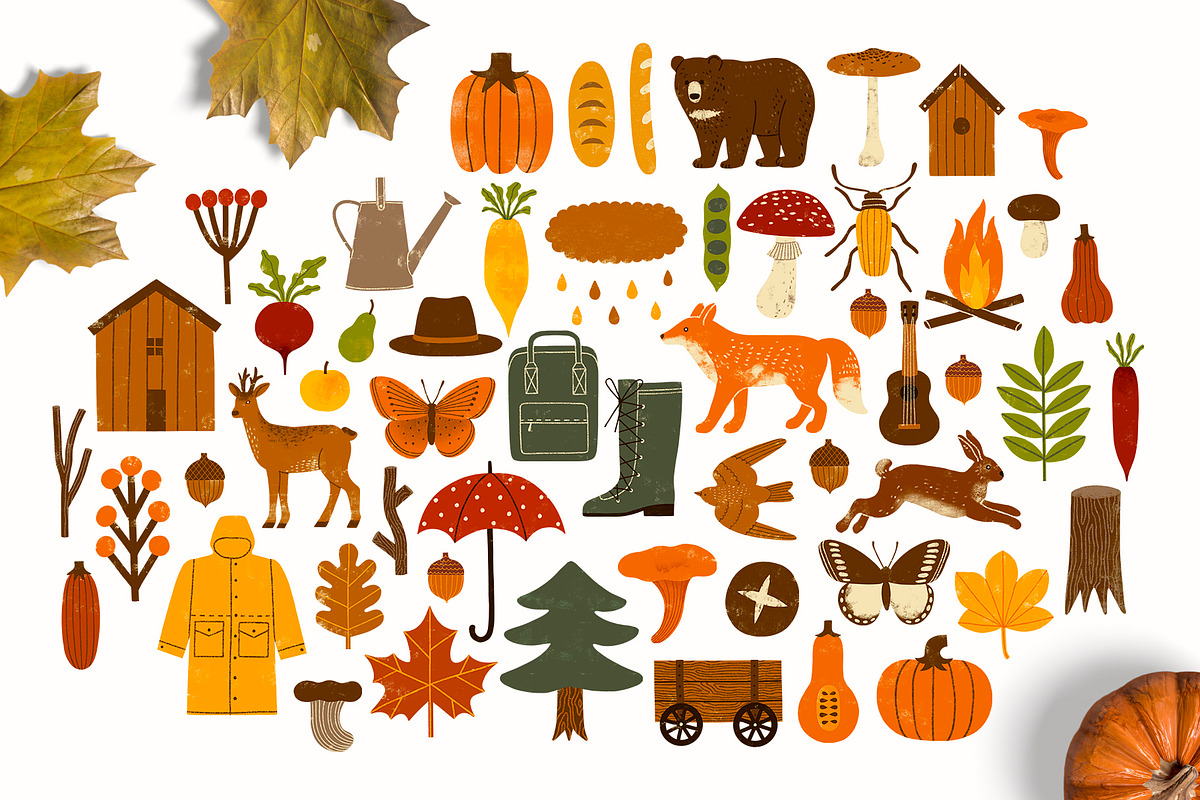AUTUMN STORY Graphics Collection, an Animal Illustration by Katerina Osa (Photo 15 of 15)