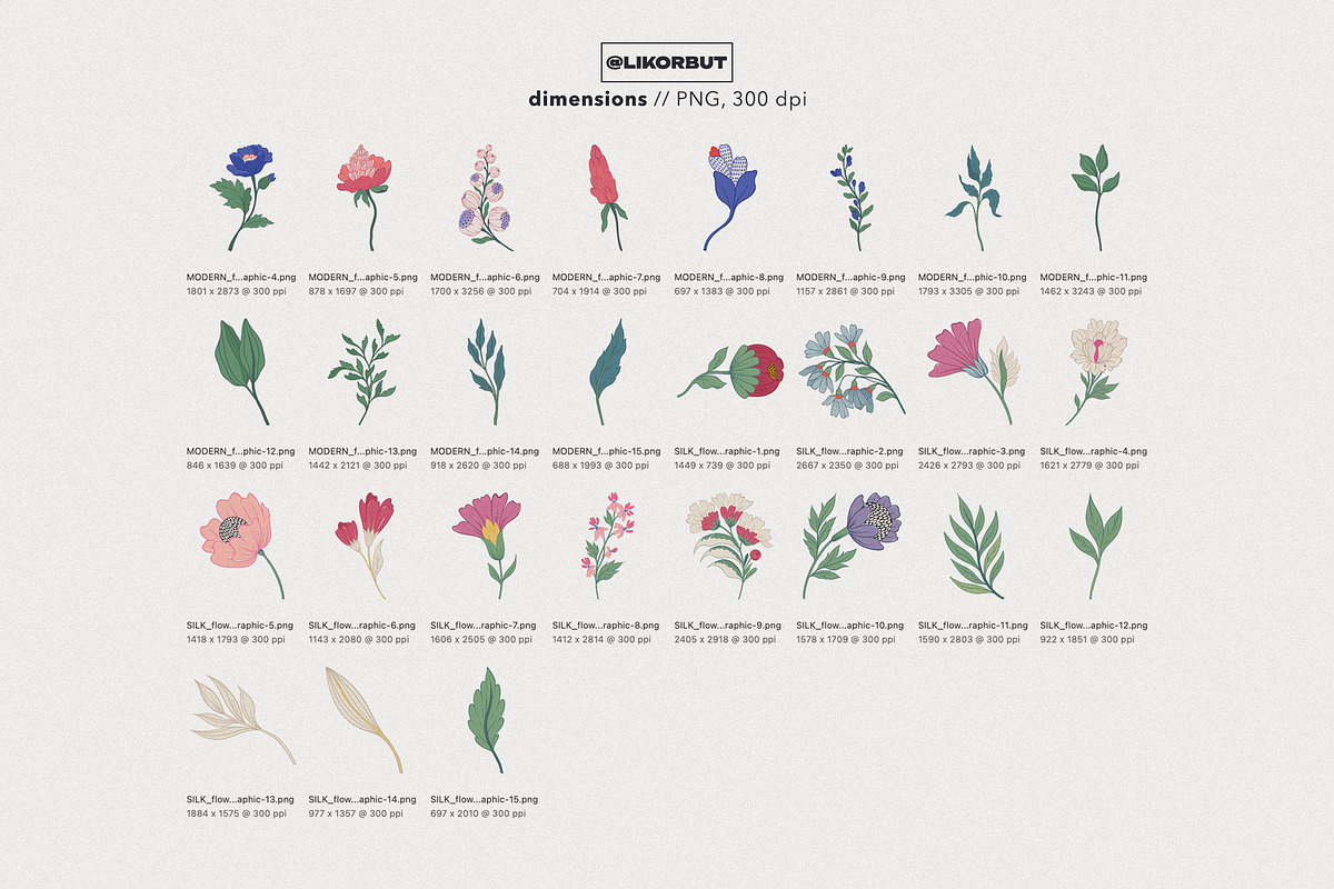 Modern Botanical Floral Illustration, a Decorative Illustration by likorbut (Photo 4 of 9)
