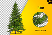 CUT OUT TREES - 60 PCS BUNDLE, a Packaging Mockup by 3DSTORE (Thumbnail 20 of 63)