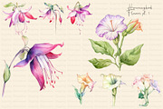 Watercolor Hummingbird and Flowers, an Animal Illustration by Dazzling Art Boutique (Thumbnail 4 of 8)