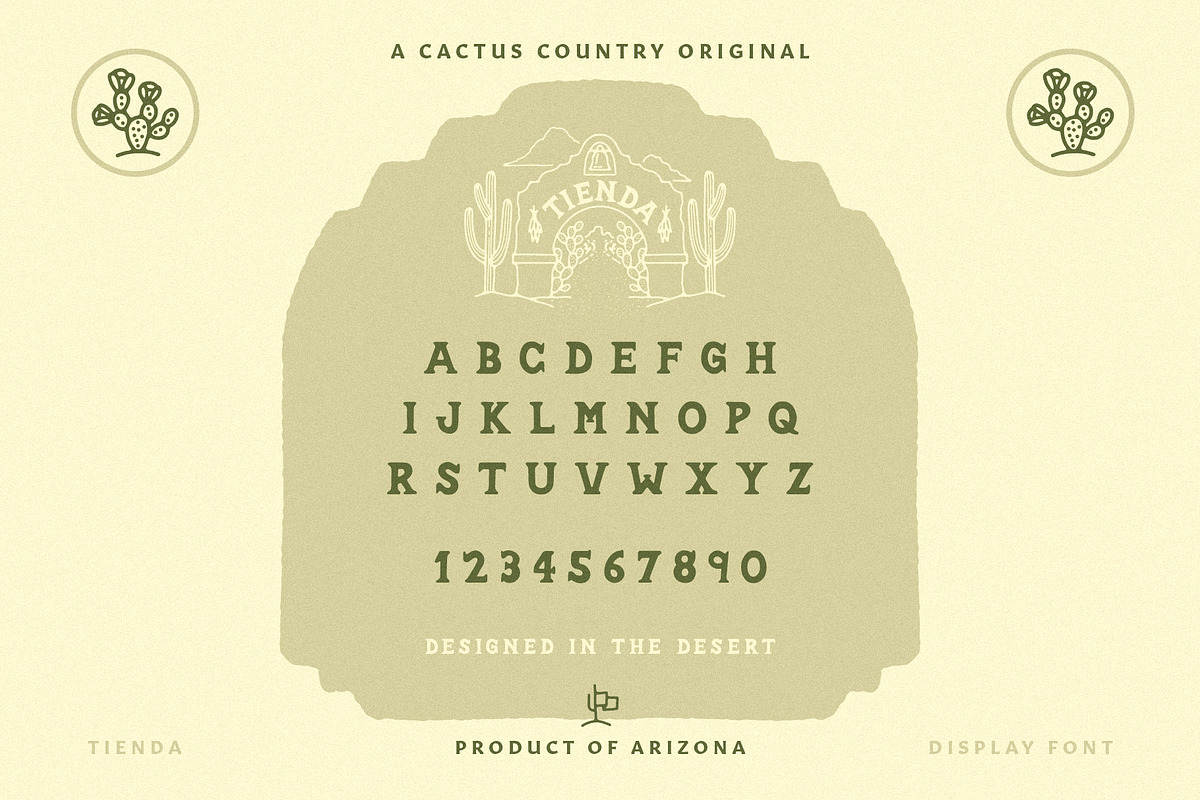 Tienda Display Font, a Serif Font by Cactus Country (Photo 6 of 6)