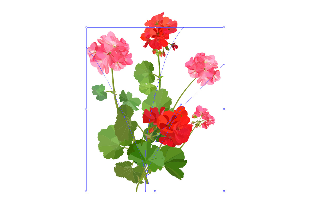 Vector object brushes. Geranium. preview 3
