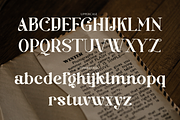Baginks Birkin Serif, a Serif Font by Creatype Studio (Thumbnail 6 of 10)