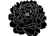Peony Flower Silhouette, an Object Graphic by Designer_Momina (Thumbnail 3 of 18)