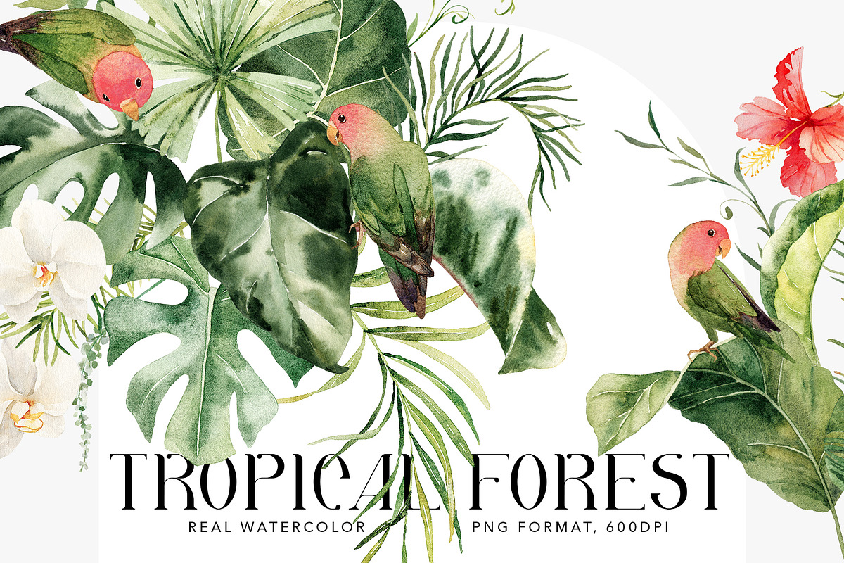 Tropical forest- watercolor greenery, a Decorative Illustration by Pamyatka Shop (Photo 1 of 13)