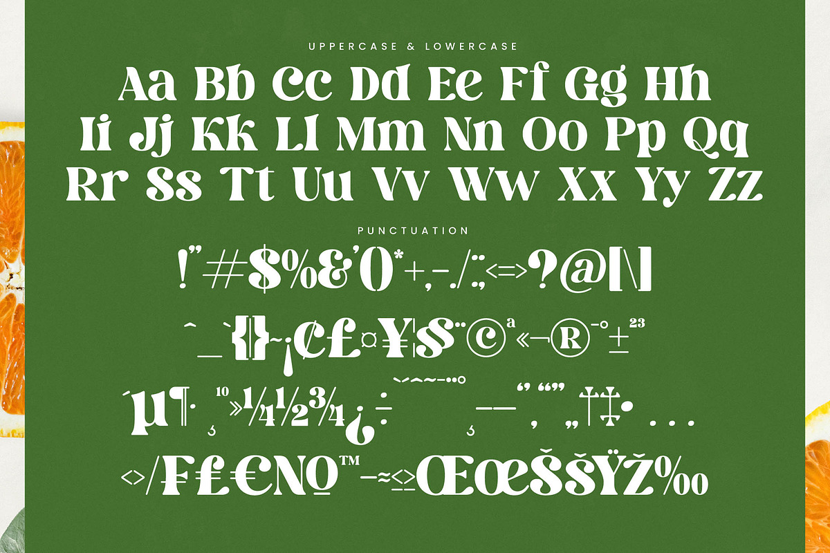 Dream Silvers Modern Serif Font, a Serif Font by timelesstype.co (Photo 18 of 20)