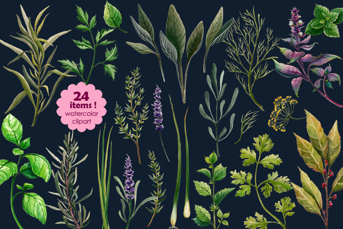 HERBS watercolor clip art set, a Graphic by AJDA ART (Photo 2 of 3)