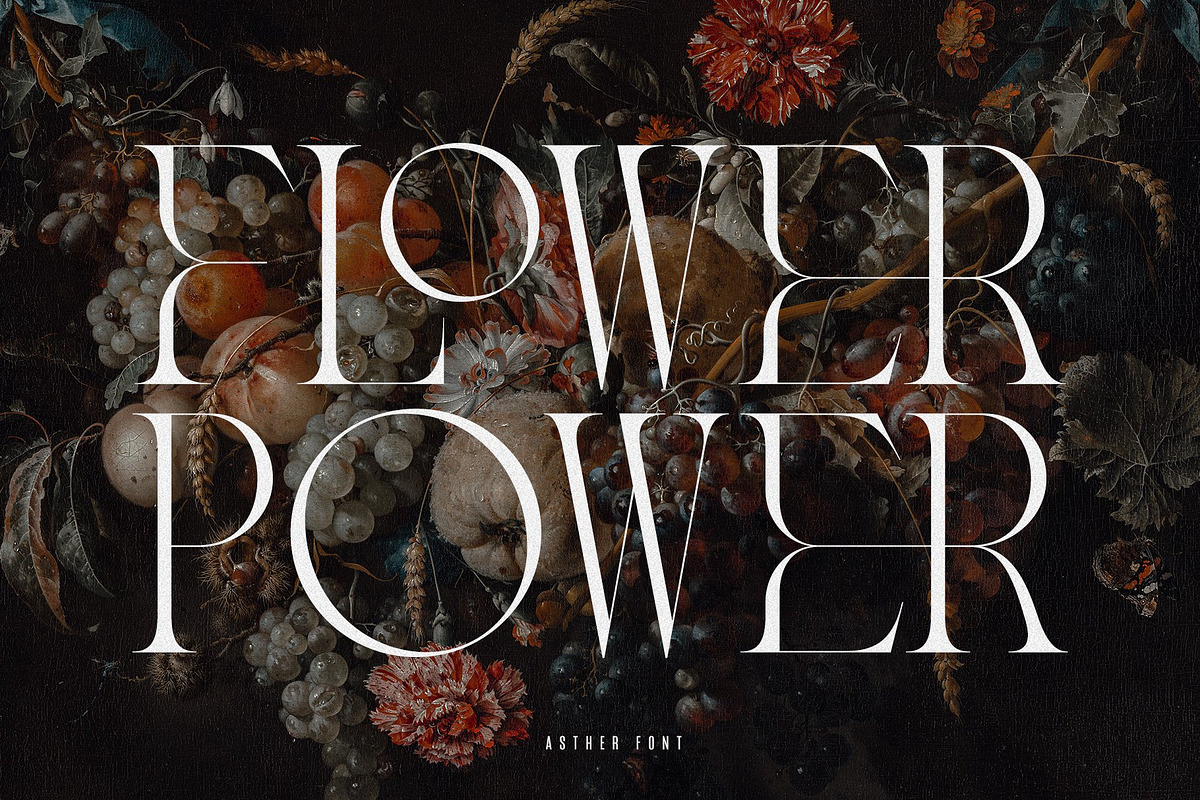 The Modern Typography Bundle, a Serif Font by Ivan Rosenberg (Photo 54 of 58)