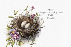 Nests Watercolor Clipart