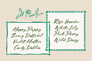 Blooming Field Handwritten Script, a Handwritten Font by Haps Space (Thumbnail 7 of 10)