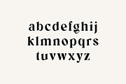 Headline Heritage Elegant Serif Font, a Serif Font by UICreative (Thumbnail 2 of 13)