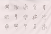 Veggies logo elements and templates, a Graphic by Vasylyka (Thumbnail 6 of 11)
